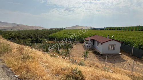 Arsa-Bağ & Bahçe