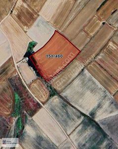 Arsa-Tarla