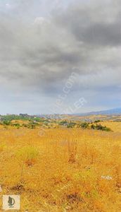 Arsa-Villa İmarlı