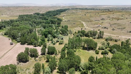 Arsa-Tarla