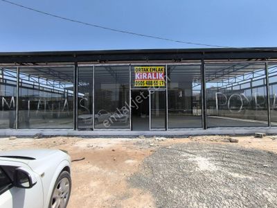 İşyeri-Müstakil İşyeri