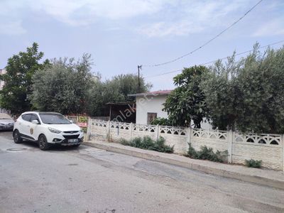 Konut-Müstakil Ev