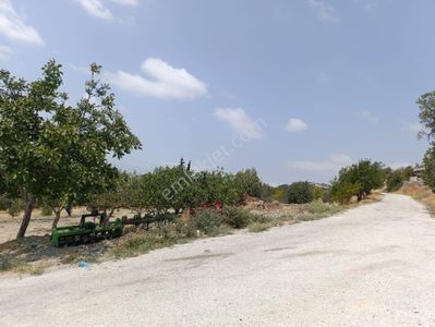 Arsa-Özel Kullanım