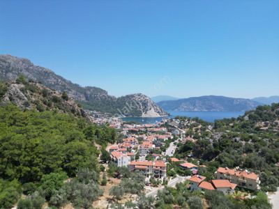 Arsa-Zeytinlik