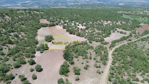 Arsa-Tarla