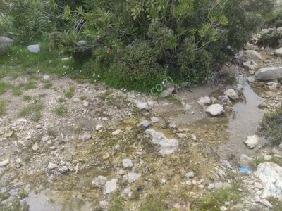 Arsa-Arazi