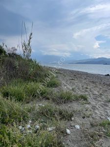 Arsa-Arazi