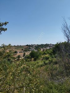 Arsa-Bağ & Bahçe