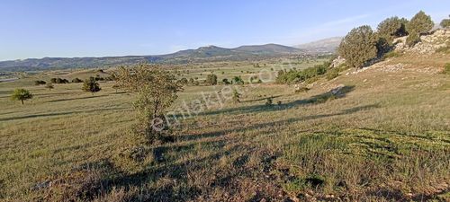 Arsa-Tarla