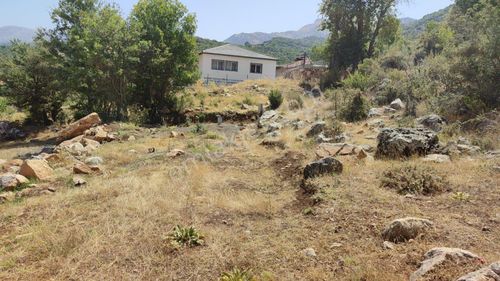 Arsa-Konut İmarlı