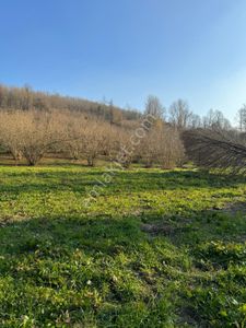 Sakarya Hendek Kalayık Da 340 M2 Arsa Tapulu