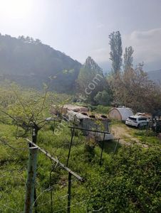 Arsa-Bağ & Bahçe