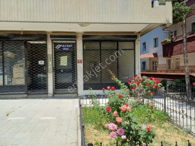 İşyeri-Dükkan & Mağaza