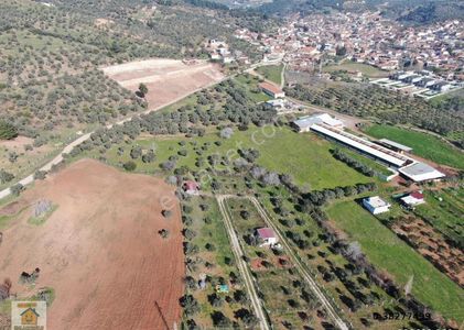 Arsa-Tarla