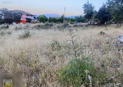 Arsa-Konut İmarlı