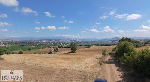 Arsa-Tarla