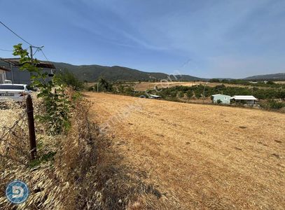 Arsa-Konut İmarlı