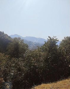 Konut-Müstakil Ev