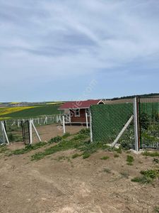 Arsa-Tarla