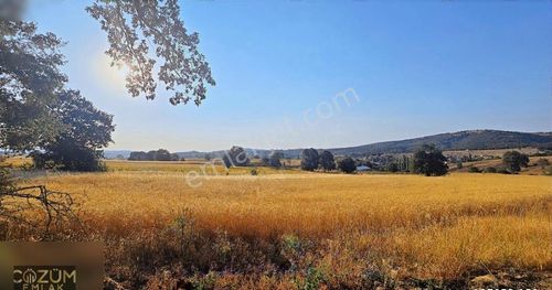 Arsa-Tarla