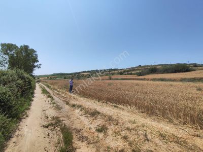 Arsa-Tarla