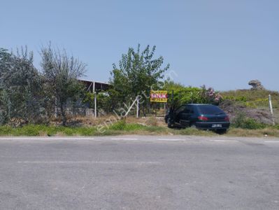 Arsa-Tarla