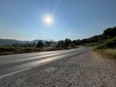 Arsa-Konut İmarlı