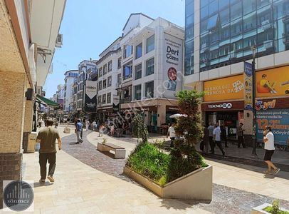 İşyeri-Dükkan & Mağaza