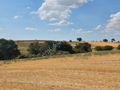 Arsa-Tarla
