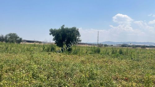 Arsa-Ticari İmarlı