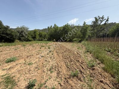 Arsa-Bağ & Bahçe