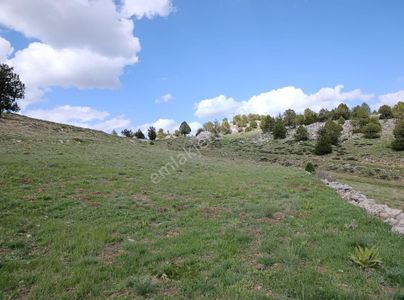 Arsa-Tarla