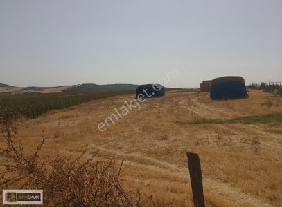 Arsa-Konut İmarlı