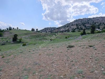 Arsa-Tarla