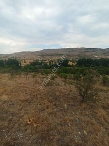 Arsa-Bağ & Bahçe