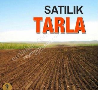 Arsa-Tarla
