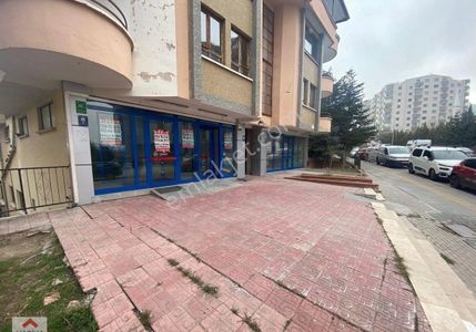İşyeri-Dükkan & Mağaza