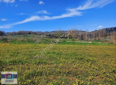 Arsa-Villa İmarlı