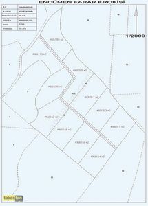 Arsa-Zeytinlik