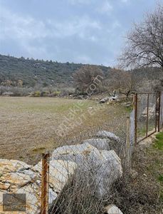 Arsa-Tarla