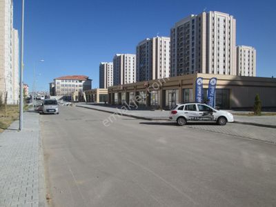 İşyeri-Dükkan & Mağaza
