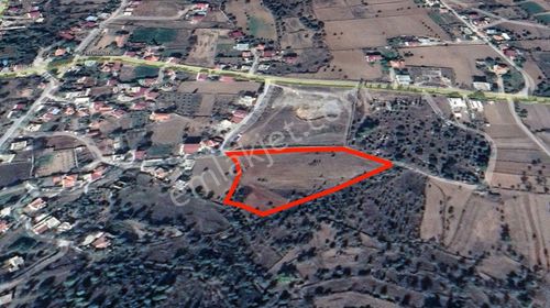 Arsa-Tarla