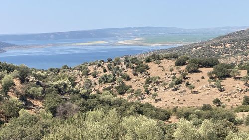 Arsa-Zeytinlik