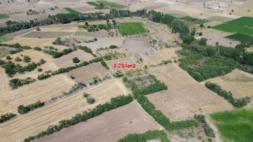 Arsa-Tarla