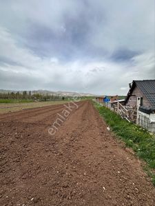 Arsa-Tarla