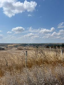 Arsa-Konut İmarlı
