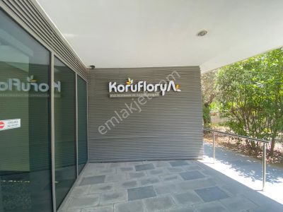 Konut-Daire