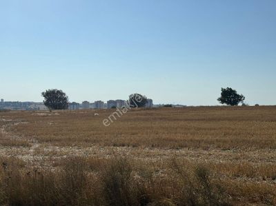 Arsa-Tarla