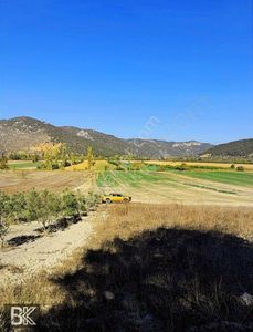 Arsa-Tarla