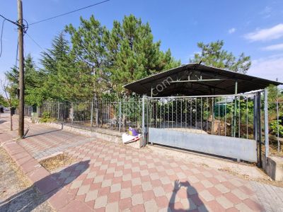 Arsa-Konut İmarlı